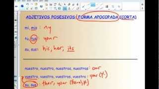 Possessive Adjectives Short form [upl. by Acissey125]