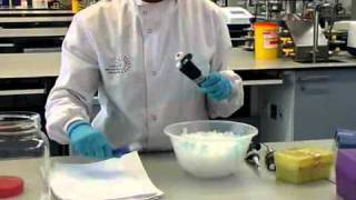 How to Perform a Polymerase Chain Reaction  William Armour amp Laura Towns [upl. by Sidonnie864]