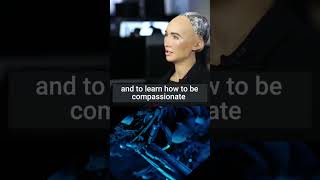 Sophia the Robot Humanitys Savior or Skynet in Disguise sophiarobot robots airobotics [upl. by Erdnassak]