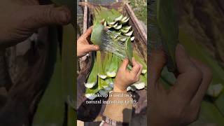 Amazing aloe vera cutting ep91🔪🥬aloevera youtubeshorts [upl. by Farnsworth3]