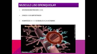 FARMACOLOGIA DE LA HISTAMINA [upl. by Kepner]