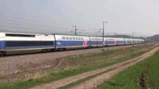 Ouigo et autres TGV en Bourgogne [upl. by Dinsmore]