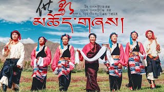 New Tibetan Song 2023 མཆོད་གཞས། བསྟན་འཛིན་གཡུ་ལོ། Tenzin Yulo Wine Song [upl. by Anotyad30]