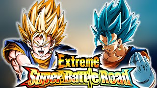 Extreme Super Battle Road Potara Category Stage  Dragon Ball Z Dokkan Battle [upl. by Ellehcin244]