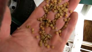 Winnowing machine ISM5 th  lentils seed cleaning and sorting [upl. by Ahsiakal736]