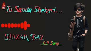 Tu Sanda Shikari Nazar Baz Full Song 🎵  Tik Tok Viral Song  Trending Lofi Song ৷▪︎ nazarbaz [upl. by Wagner929]