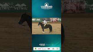 Lider Parcial Categoria Potros  BOX 03 CSA LA MOROCHA VAQUEROWORKING COW HORSE 2024 [upl. by Chura]