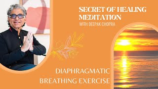 Guided Meditation for Breathing [upl. by Ramunni]