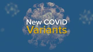 New COVID Variants and a Rise in Cases  What We Know About EG5 Eris and BA286 2023 [upl. by Seidler]