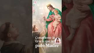 Concédeme la Gracia que te pido Madre [upl. by Atirb281]