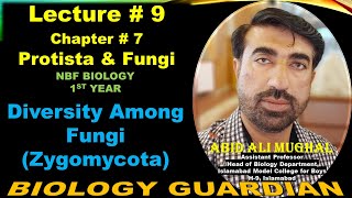 Diversity Among Fungi Zygomycota  Lecture 9 Ch 7 NBF Biology11 By Abid Ali Mughal [upl. by Nehemiah]