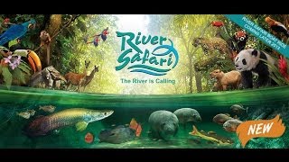 River Safari Singapore [upl. by Savannah]