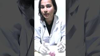 Heart experiment hart biology experiment short shorts  Shilu maam [upl. by Anaiuq]