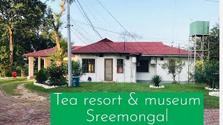 Visiting Tea resort amp museum  Sreemangal l শ্রীমঙ্গল টি রিসোর্ট অ্যান্ড মিউজিয়াম ২০২০ [upl. by Fagan]