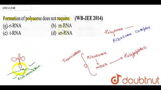 Formation of polysome does not require [upl. by Sarena]