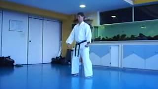 SEIENCHIN KATA SEIGOKAN GOJURYU R TAKESHI SEIGOKAI  SENSEI FUKUCHI [upl. by Otecina]