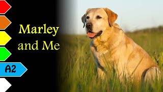 Marley and Me by John Grogan  A2  English Stories [upl. by Noivart]