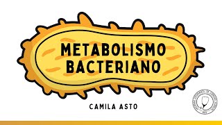 METABOLISMO BACTERIANO  Microbiología [upl. by Lorna]