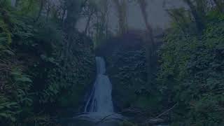 Spooyt Vane • Classical Music and Nature [upl. by Cand]