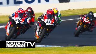 2024 Australian Superbike Championship ASBK  Round 1 Phillip Island  Superbikes [upl. by Malaspina986]