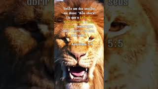 ✨ Versículo do Dia O Leão da Tribo de Judá 🦁🔥  Apocalipse 55 🙏 [upl. by Nalor300]