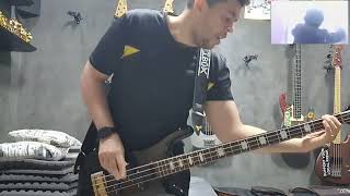 Knock Me Down  Red Hot Chili Peppers Bass Cover with SPECTOR BASS [upl. by Anderer300]