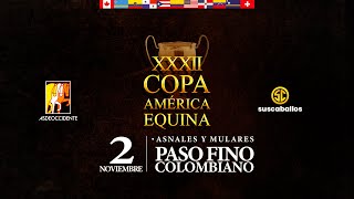 XXXII COPA AMERICA EQUINA 2024  DIA 3 PASO FINO COLOMBIANO [upl. by Naimad]