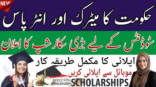 PEEF Scholarships 2024  Online Registration Guide [upl. by Dnalel]