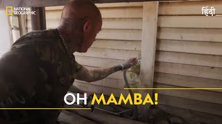 Oh Mamba  Snakes in the City  हिन्दी  Full Episode  S2  E1  Nat Geo Wild [upl. by Bui]