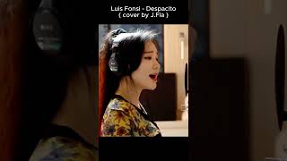 제이플라 Despacito  cover by JFla 원곡 Luis Fonsi [upl. by Gluck]