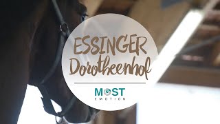 Essinger Dorotheenhof [upl. by Mancino688]