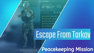 Peacekeeping Mission Task  Escape from Tarkov [upl. by Aimas]