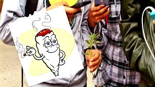 ENCONTRAMOS MARIHUANA EN SALIDA DescriPTIVA de familias CLASE MONOCOTILEDONEA [upl. by Nlycaj]