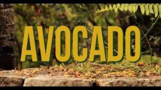 Jah9  Avocado Official Video [upl. by Tabitha]