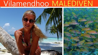 VILAMENDHOO  4K  Dive and Relax  Highlight der Malediven [upl. by Phionna329]