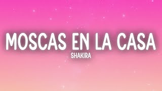 Shakira  Moscas en la Casa LetraLyrics [upl. by Aikit]