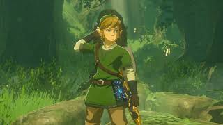 getting the fully upgraded master sword in modded botw [upl. by Beshore781]