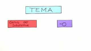 Das Geschlecht der Substantive auf oa und e  Spanisch  Grammatik [upl. by Skutchan]