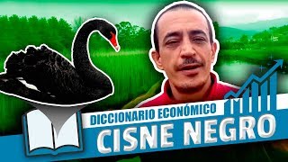 DICCIONARIO ECONOMICO Simon Pérez nos explica el concepto de cisne negro [upl. by Pollard]