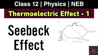 Seebeck Effect  Thermoelectric effect L1  Class 12 Physics NEB  Nepali ScienceGuru [upl. by Attolrahc]