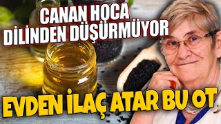 CANAN HOCA DİLİNDEN DÜŞÜRMÜYOR  EVDEN İLAÇ ATAR BU OT [upl. by Kerwon]