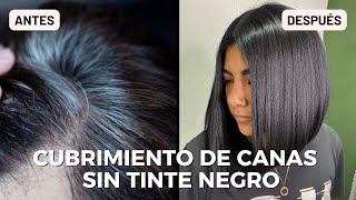 Cubrimiento de Canas  NO TINTE NEGRO [upl. by Nitsid]