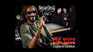 Snoop Dogg vs UB40  Red Wine Gin amp Juice DjDEENA MASHUP [upl. by Iahk]