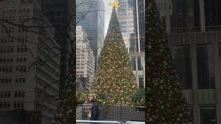 NYC Christmas decor part 1 christmas merrychristmas youtube youtubeshorts [upl. by Aimat]