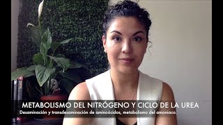 Metabolismo del nitrógeno y ciclo de la urea [upl. by Oruasi]