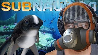 ADOTANDO UM BEBE ALIEN  Subnautica 37 [upl. by Adnamma400]