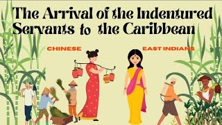 The Arrival of the indentured Servants to the Caribbean  Grades 46 [upl. by Runkle]