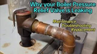 Why Your Boiler Pressure Relief Valve PRV is Leaking  Dripping  ConBraCo Watts Apollo  30 psi [upl. by Eded818]