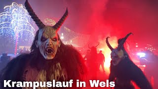 Krampuslauf in Wels 2023 🇦🇹 Wels Austria [upl. by Allister235]