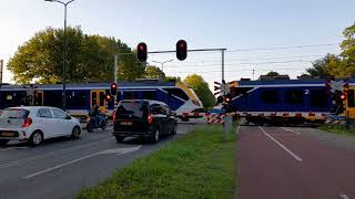 Spoorwegovergang Veenendaal  Dutch railroad crossing [upl. by Lehsreh232]